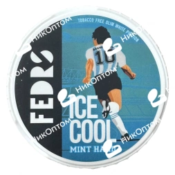 FEDRS - ORIGINAL - ICE COOL - №10 - MINT HARD (65mg)
