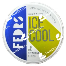 FEDRS - ORIGINAL - ICE COOL - №5 - SPEARMINT (55mg)